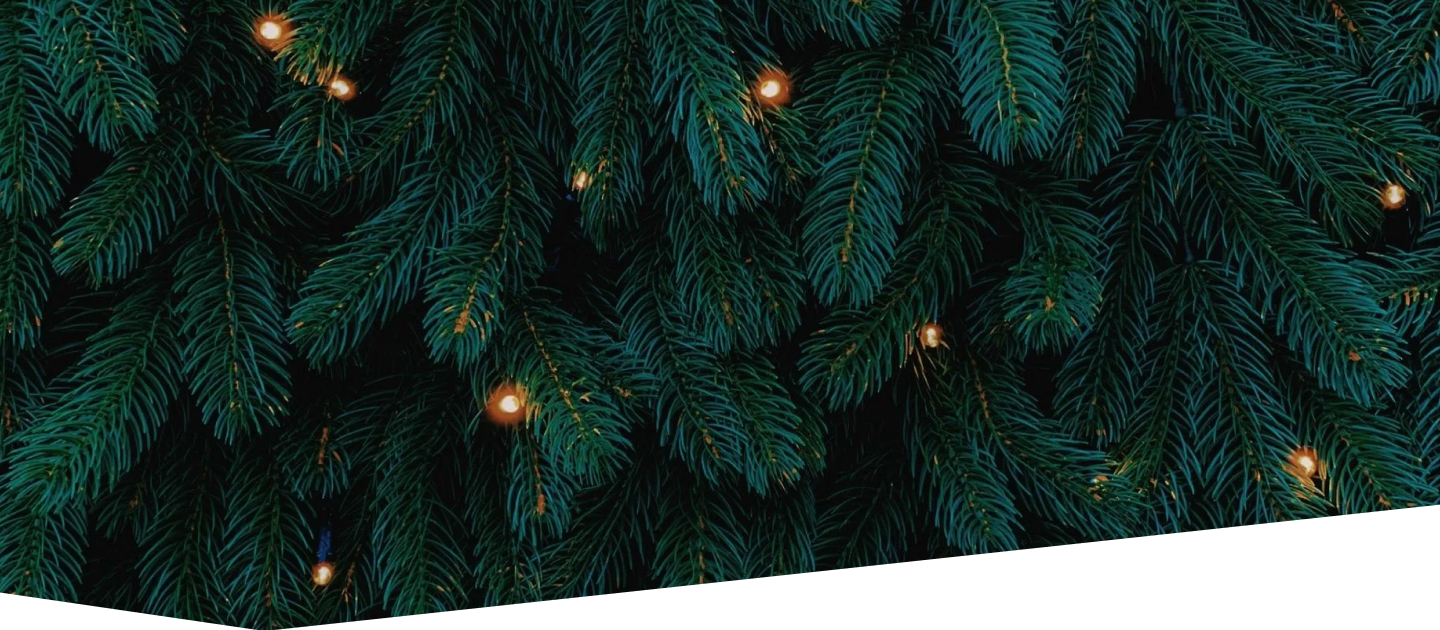 Новогодние каникулы