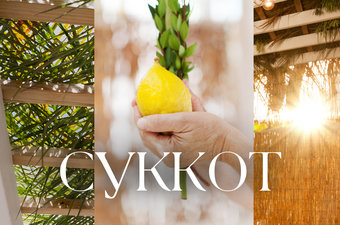 Суккот