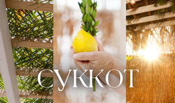 Суккот