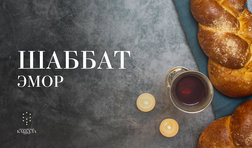 Шаббат Эмор / суббота
