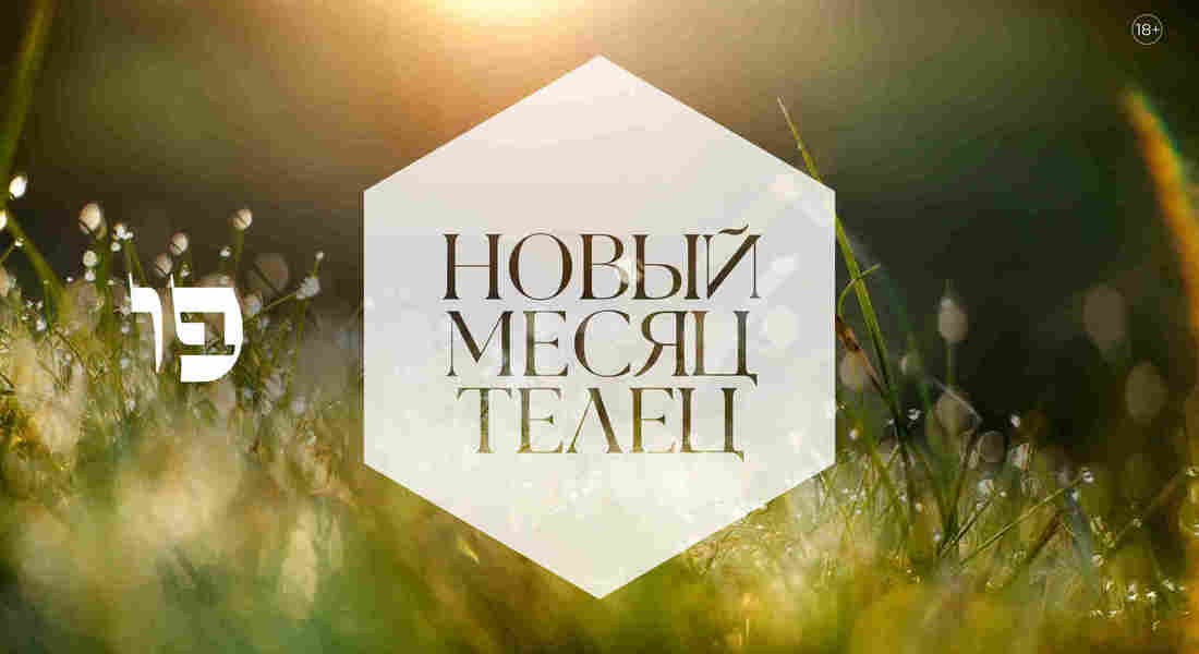 Телец