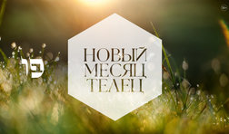 Телец