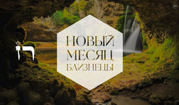 Близнецы