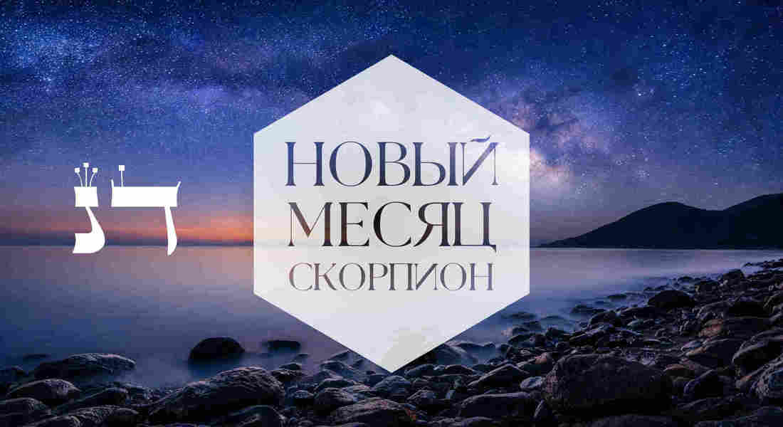 Скорпион